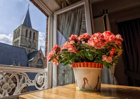 B&B Bariseele