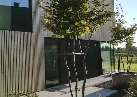 B&B De Stuifduinen