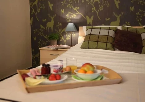 B&B Hippo-Droom