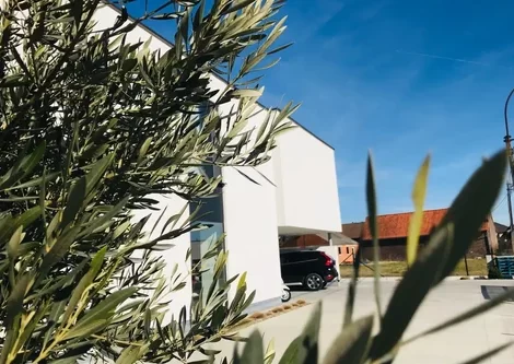 B&B Vita Roka