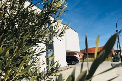 B&B Vita Roka