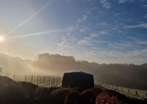 Chardonnay Sleep Barrel