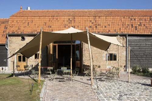 De 6 Linden