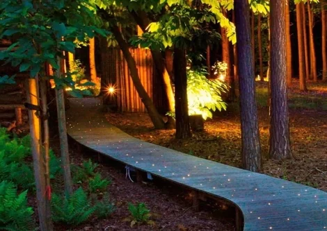 Nooz – Forest Lodge
