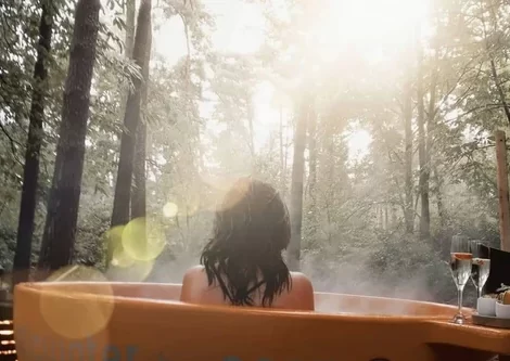 Nooz – Forest Lodge