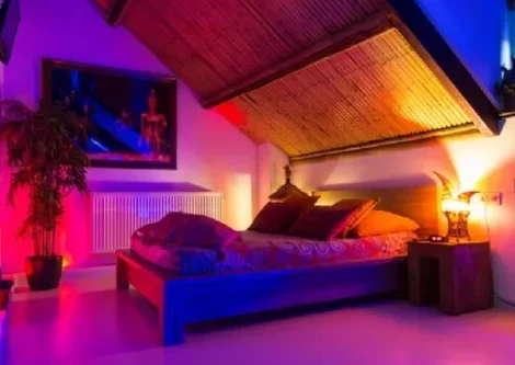 Oriental Paradise