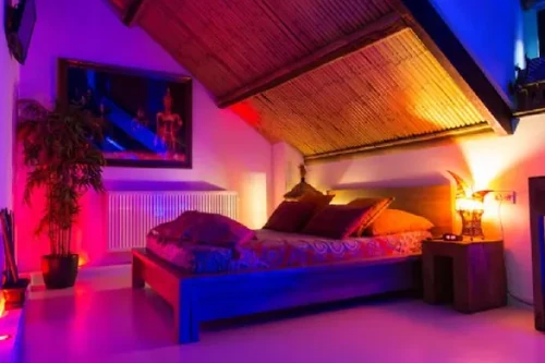 Oriental Paradise