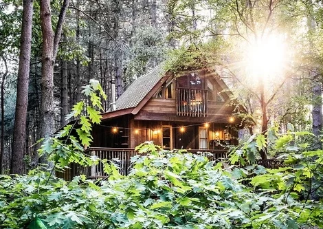 Tree Lodge