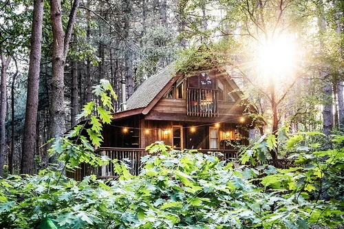 Tree Lodge