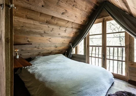 Tree Lodge