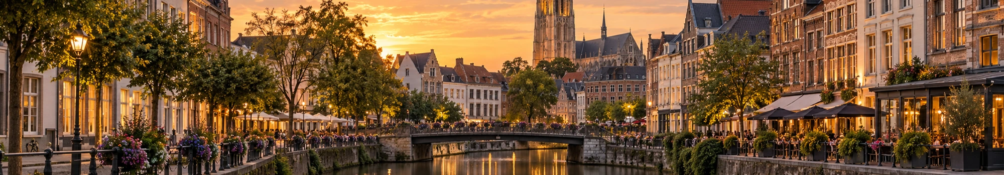 Historische binnenstad van Mechelen aan de Dijle met de Sint-Romboutstoren op de achtergrond.